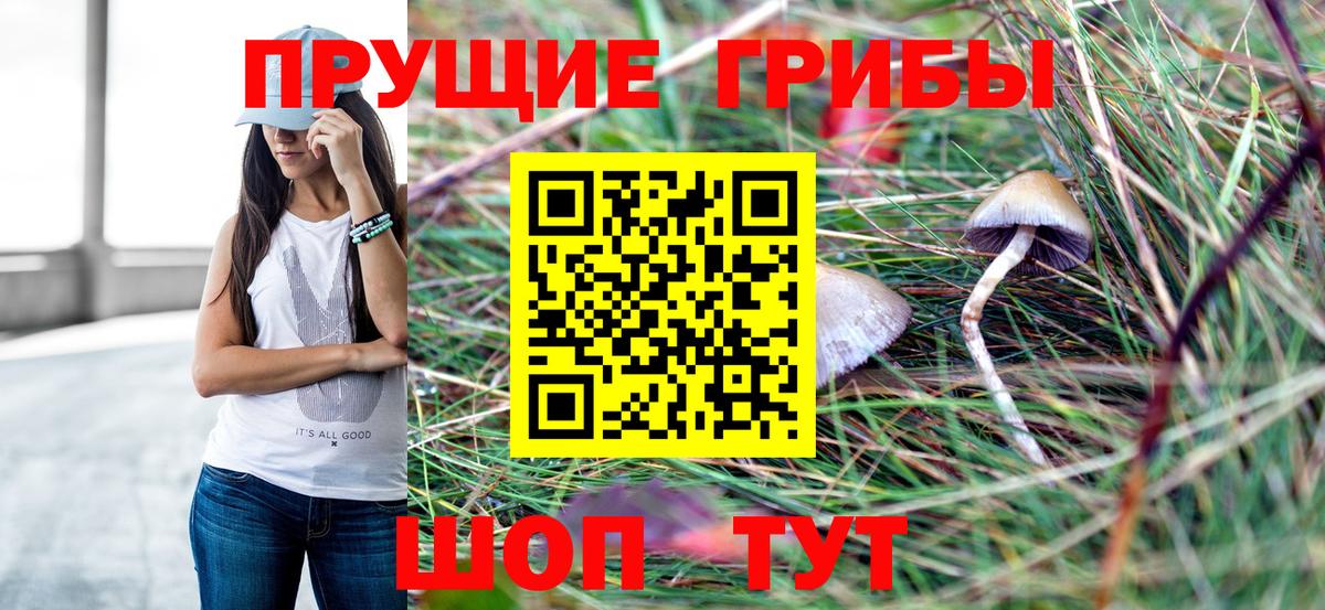 Псилоцибиновые грибы ЛСД  Вход с VPN  Кудымкар  Псилоцибиновые грибы мухоморы 